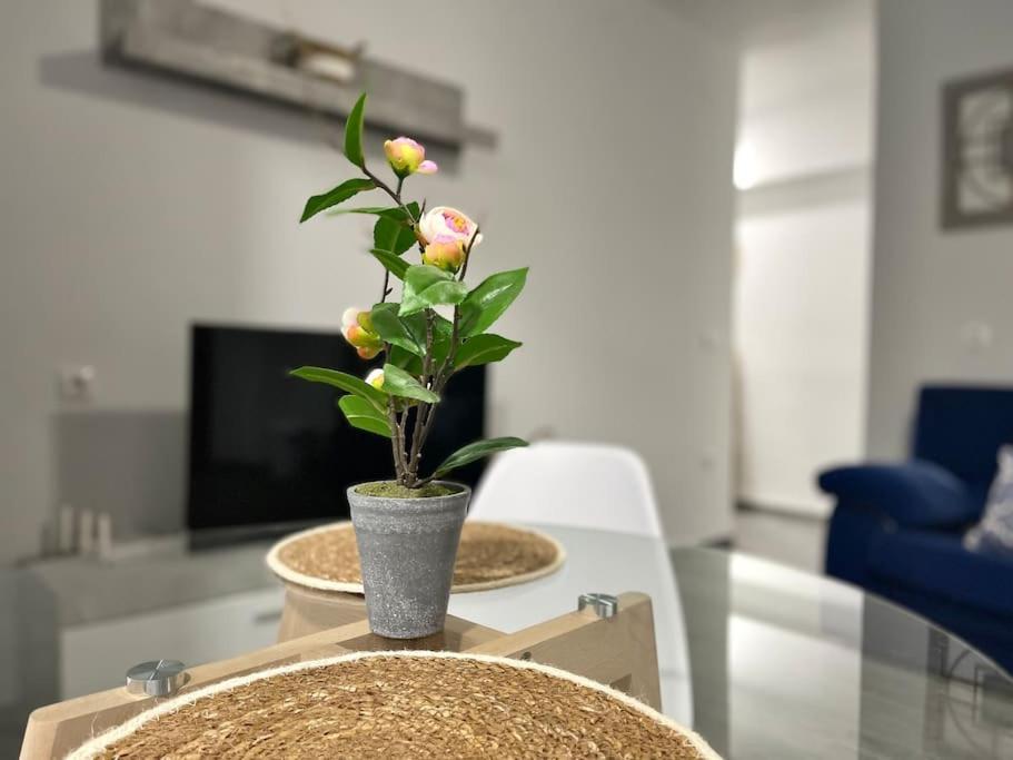 Apartamentos Rincon Andaluz 3 コルドバ エクステリア 写真